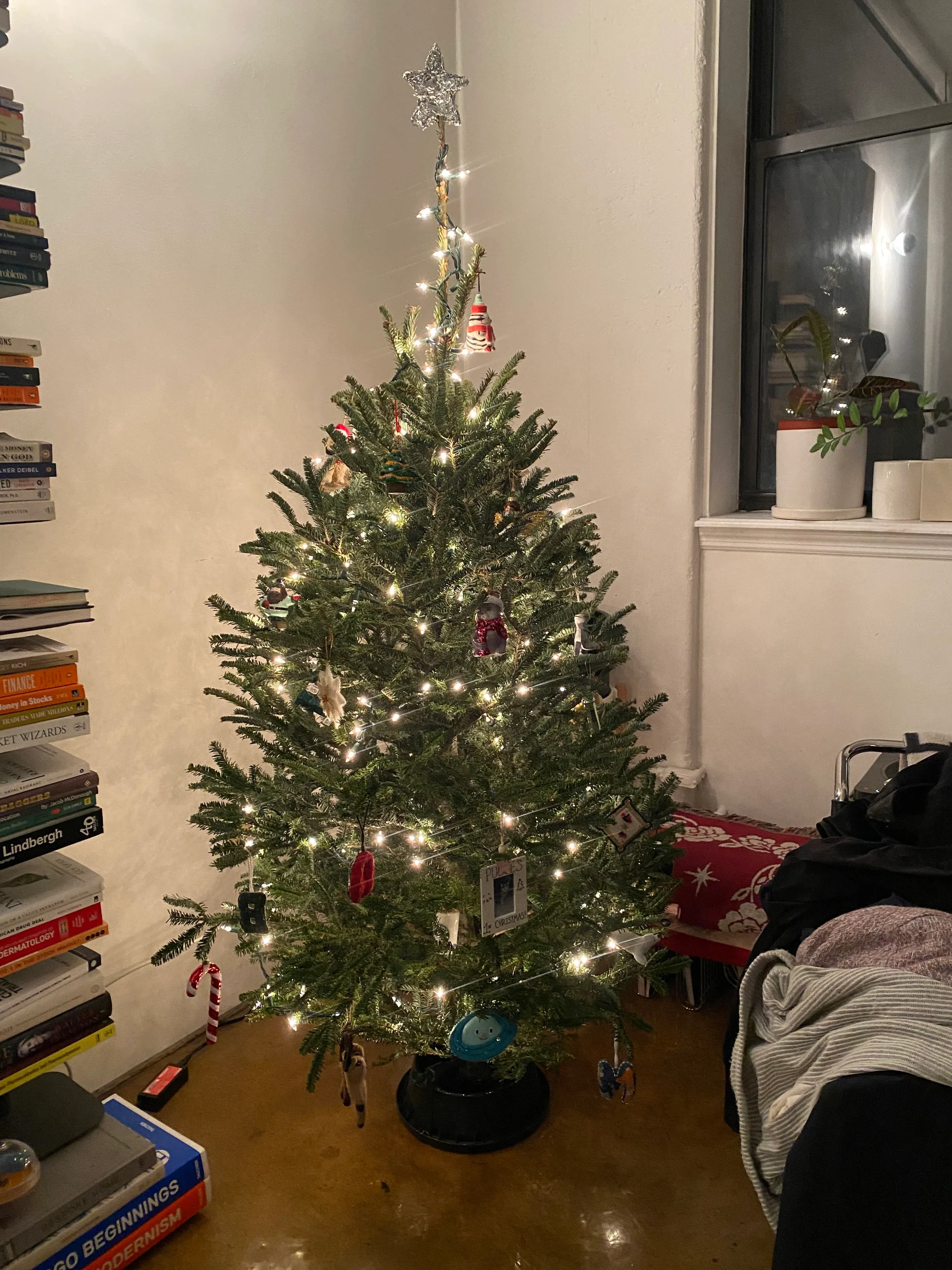Bring Home the Brooklyn Magic